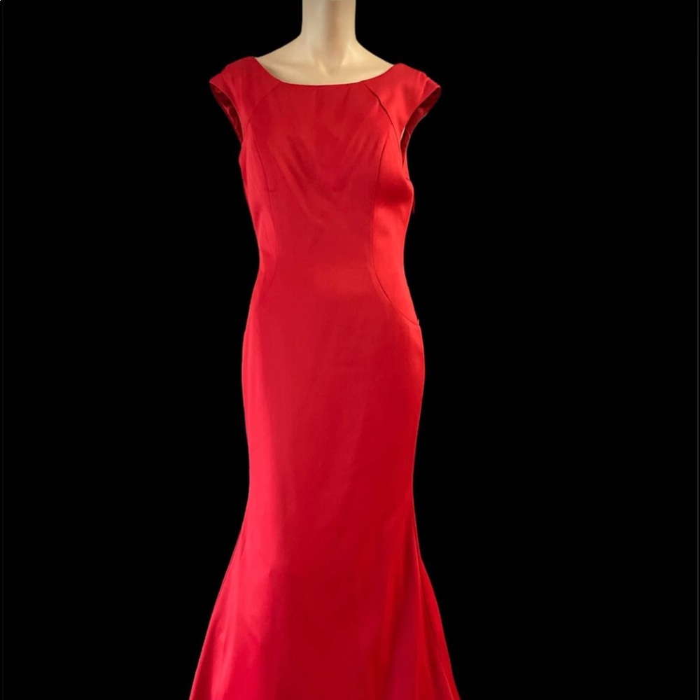 Red Mermaid Dress
Size L
Price $45